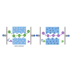 Bipolar Elektrodiyaliz
